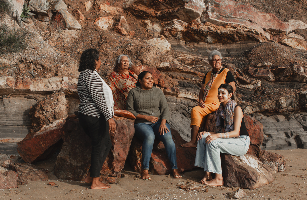 First Nations Women - Impact Tracker image