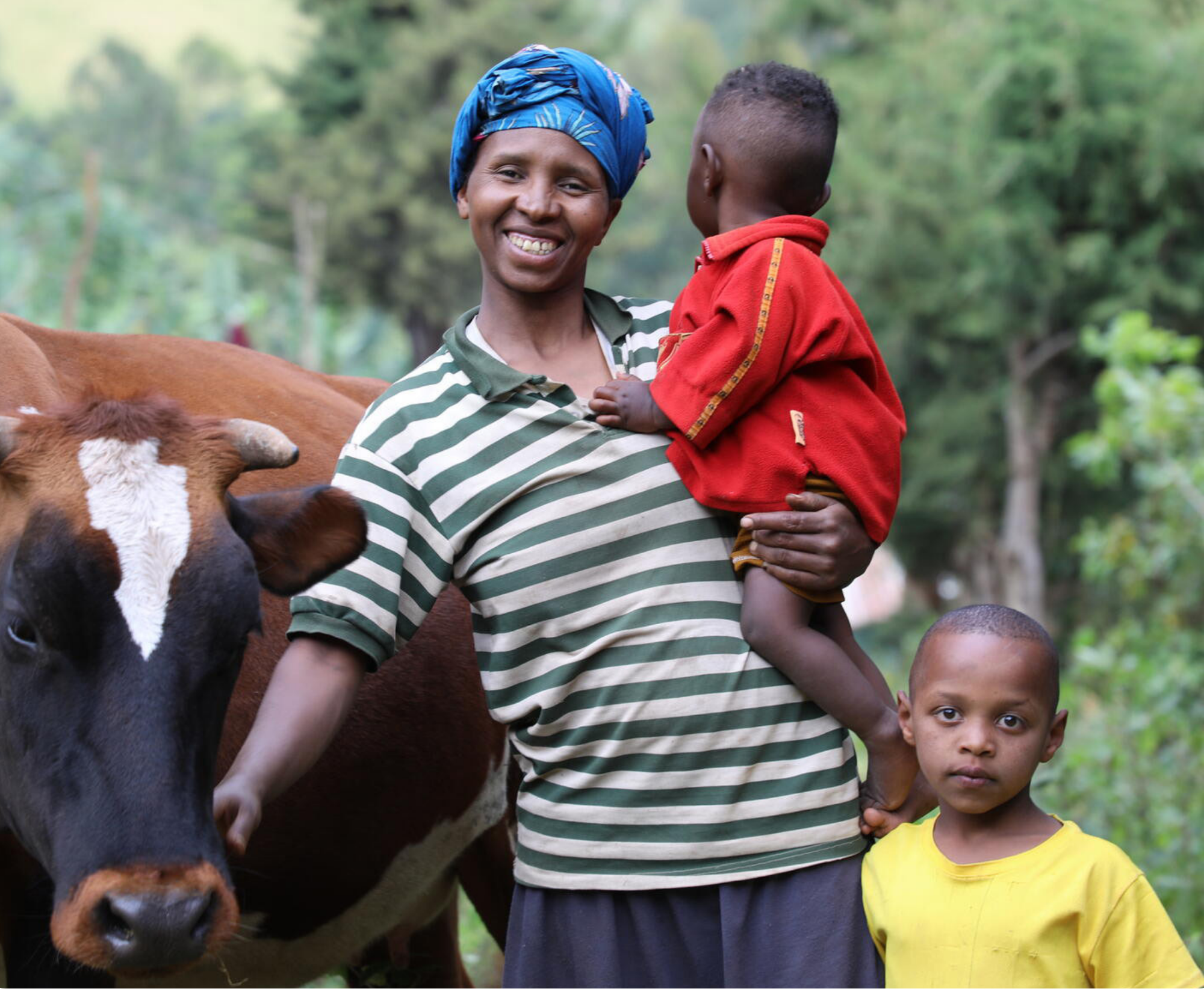 Regreen - family with cow